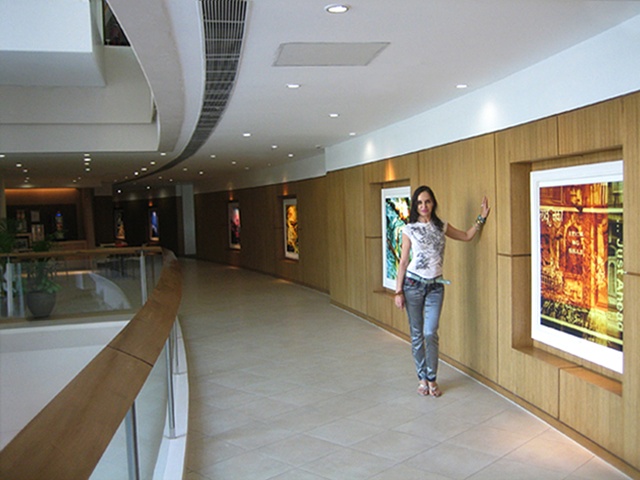 Mixed Media Canvases
Installed in a Corporate Space