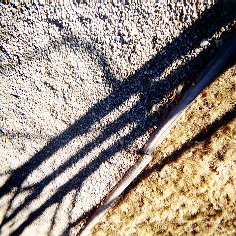 New Mexico Dialgonal Shadow 