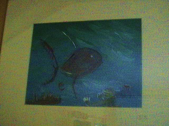 Fish
