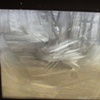 Abstract MG Picasso