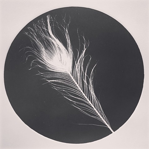 Feather - Monoprint 