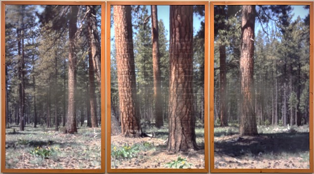 When the Walls Disappear (High Desert)