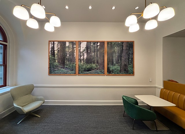 When the Walls Disappear (Coast Range)