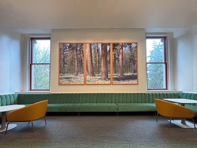 When the Walls Disappear (High Desert)