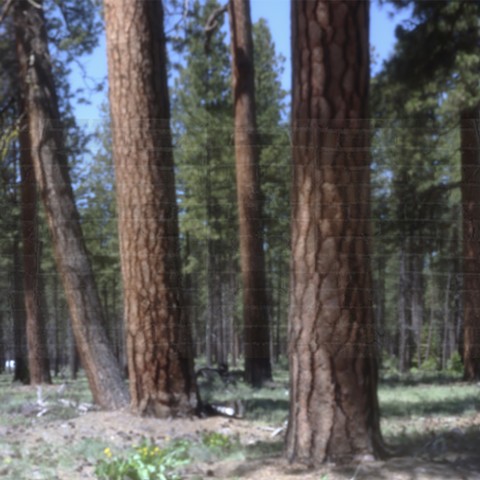 when the walls disappear