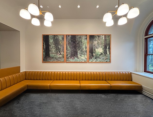 When the Walls Disappear (Cascades)