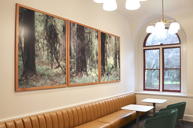 When the Walls Disappear (Cascades)