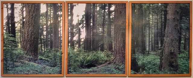 Villard Hall Heritage Project