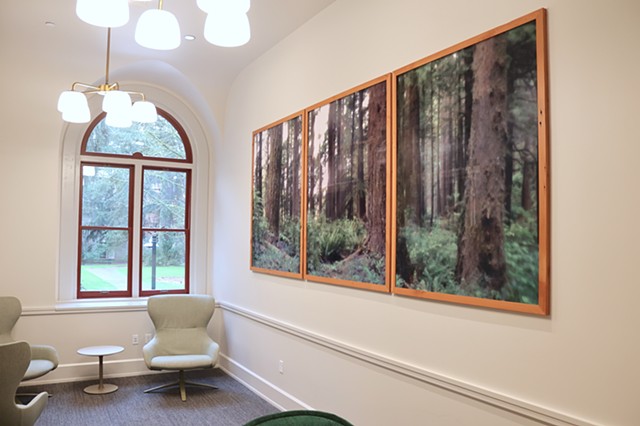 When the Walls Disappear (Coast Range)