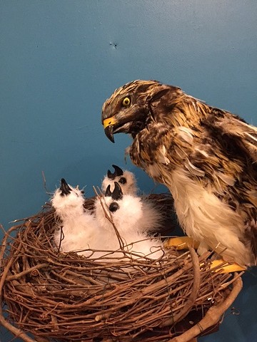 Hawk Puppet, These Paper Bullets, Atlantic Theater Company 2015. Puppet Design by Jessica Scott