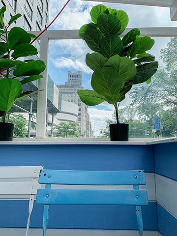 Blue Chair Green Plant, NYC