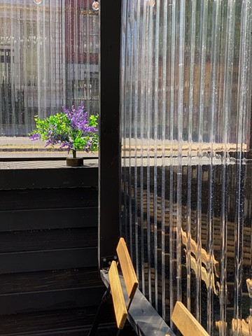 Clear Corrugated Dividers and Plant, NYC