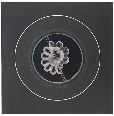 Photogram Collage #23