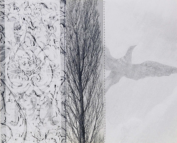 Pattern,Tree and Bird
