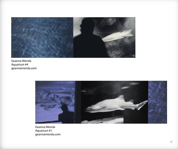 New York Center For Photographic Art on line exhibition