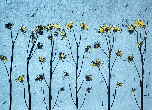 flora print: daisies