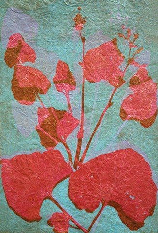 Flora print