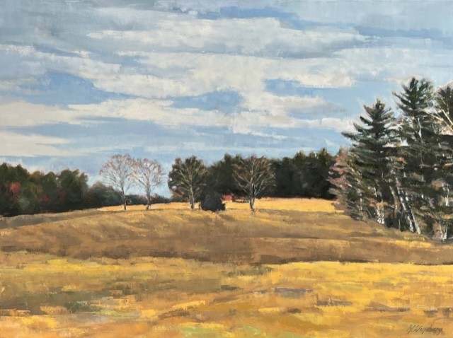 NEW ENGLAND FIELDS