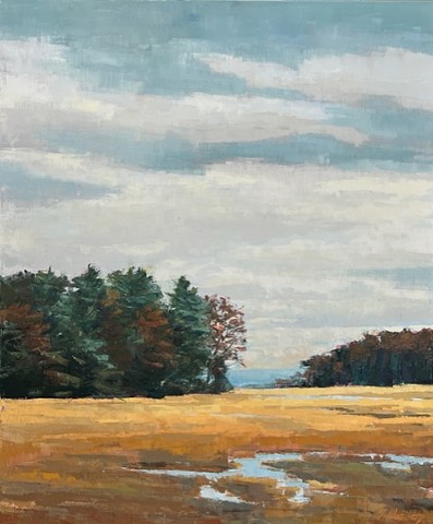 SALTMARSH