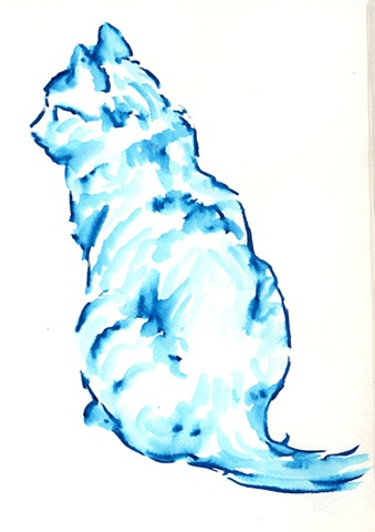 Small Blue Cat 2