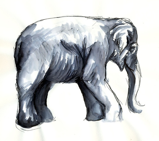 Elephant Side