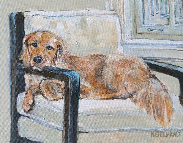 Pet Portrait
