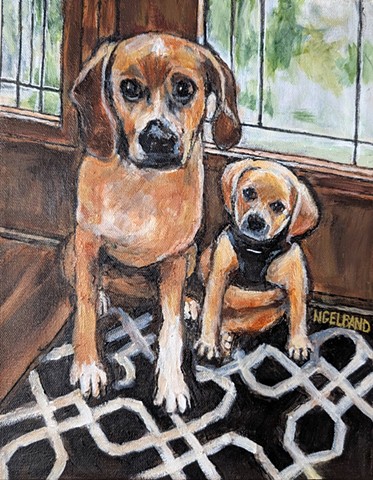 Pet Portrait