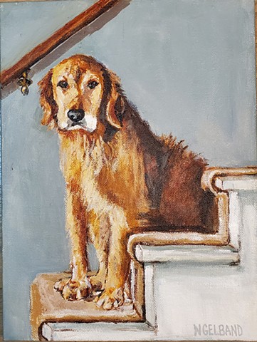 Pet Portrait Commission