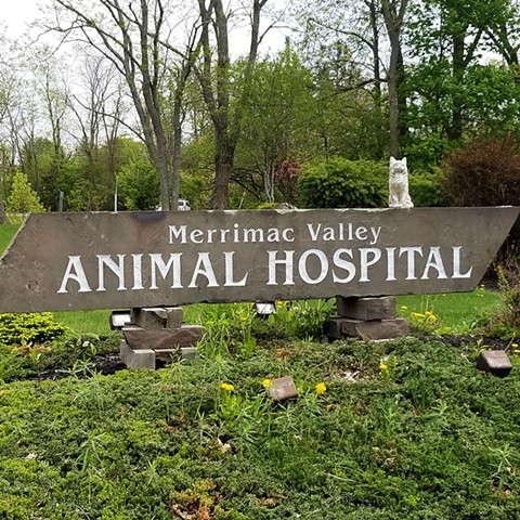 Merrimack Valley Animal Hospital Waiting Room Renovation