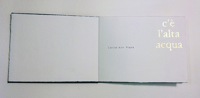 c'e' l'alta acqua artist book- Carrie Ann Plank