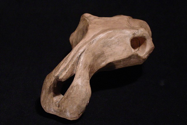Animal Skull