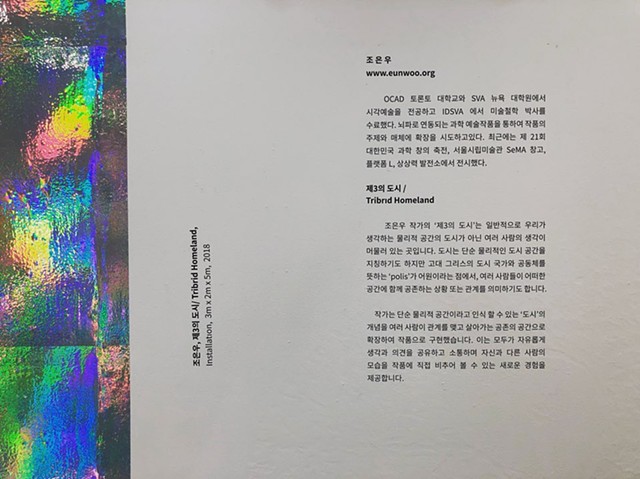 Tribrid Homeland  eunwoocho Eun Woo Cho art Artist Korean installation ai 