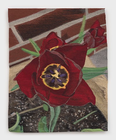 Tulip - Red