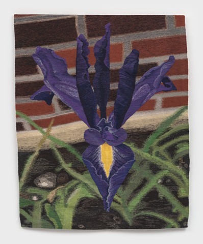 Iris