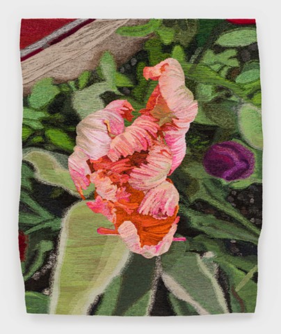 Fancy Tulip