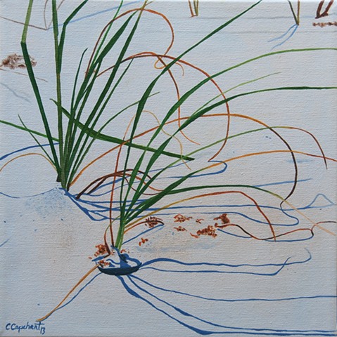 Beach Grass IV