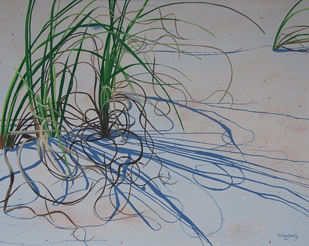 St Augustine beach grasses swirling in the sand with cool shadows.