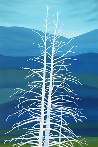 Ghost Trees of Yellowstone