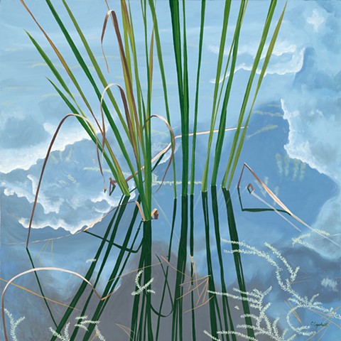 Pond grasses with reflection and reflected sky
