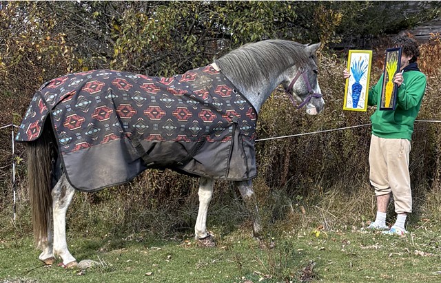 Paintings for Horses Press Release 