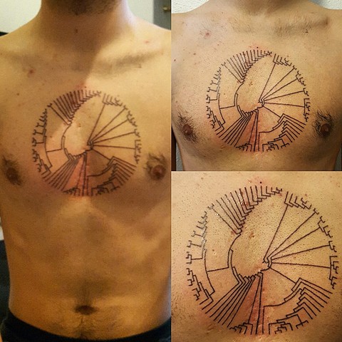 handpoked tattoo, tattoo, handpoking, handpoke, no machine, chest piece, darwin, scientific tree of life, evolution tattoo, evolution