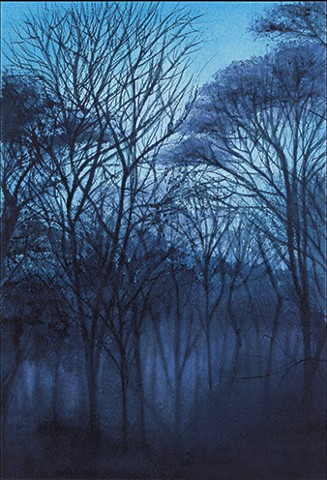 dawn forest trees blue landscape mist light vivid