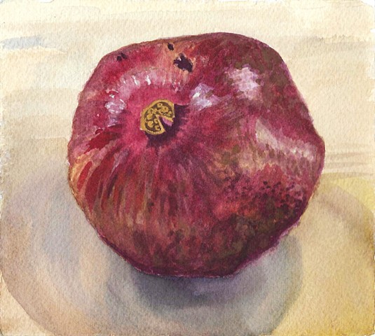 Small watercolor study of a pomegranate