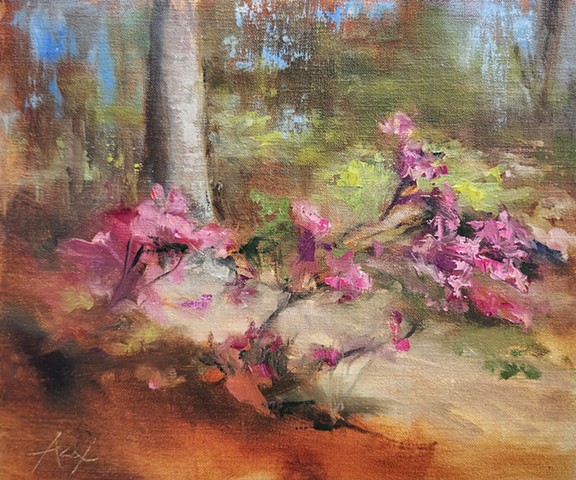 Dancing Azaleas