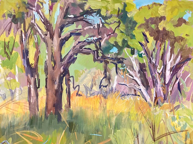 Piney Lakes Swamp, 10 a.m.