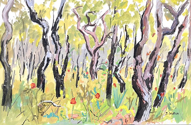 Mount Lindsey Bush