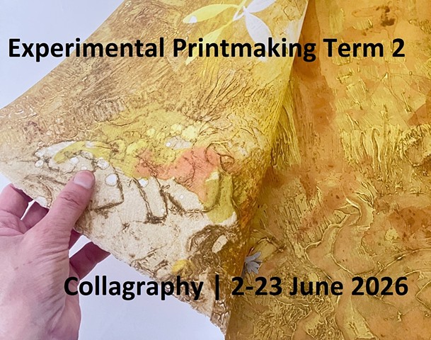 Experimental Printmaking Term 2, 2026