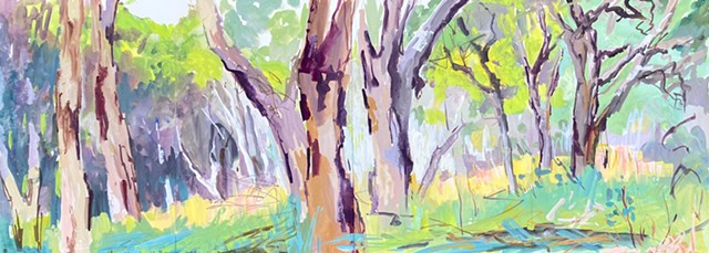 Piney Lakes Swamp