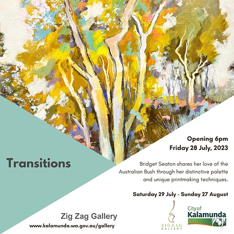 TRANSITIONS SOLO EXHIBITION