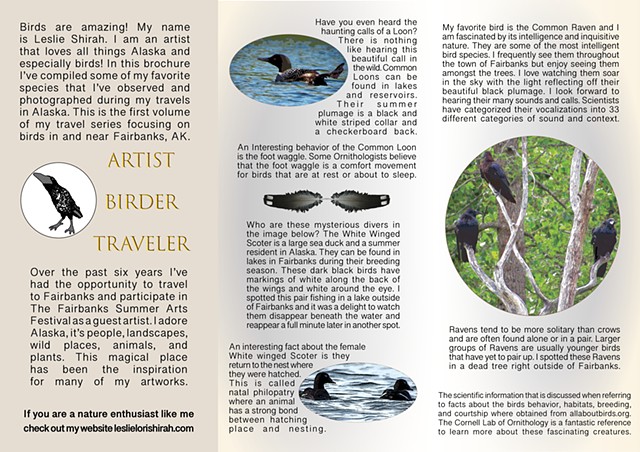 Tri-fold Brochure Alaska's Birds Fairbanks/Volume 1 Inside